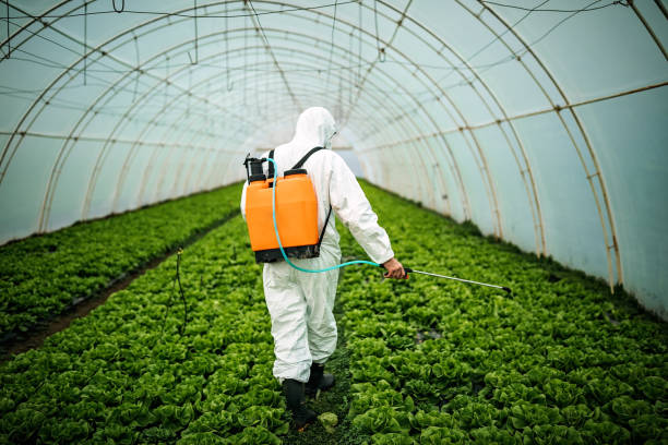 Best Pest Prevention Services  in Passaic, NJ