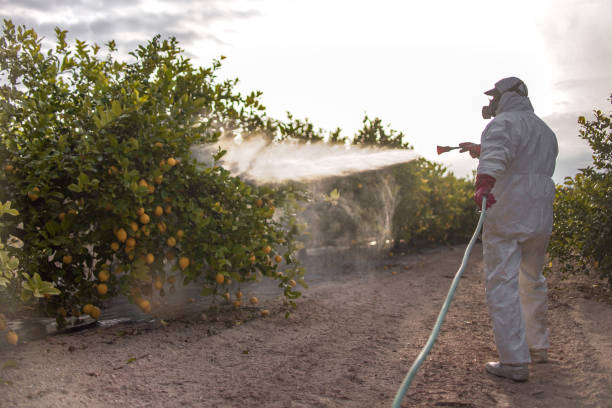 Best Local Pest Control Services  in Passaic, NJ