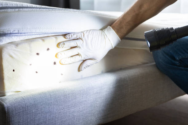 Best Rat Extermination Near Me  in Passaic, NJ