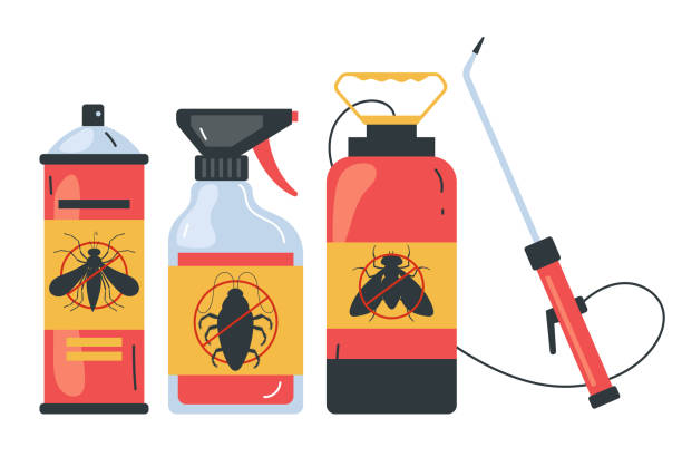 Best Termite Control Services  in Passaic, NJ