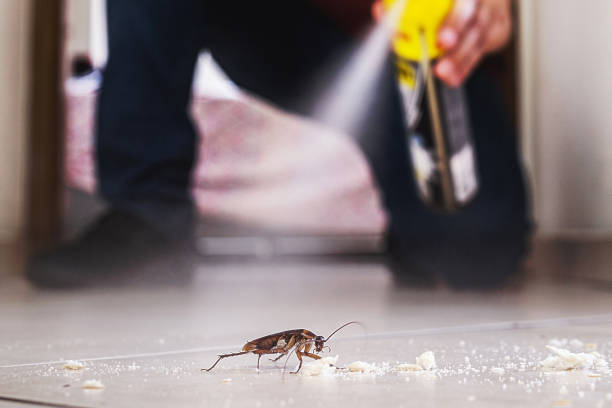 Best Pest Inspection Near Me  in Passaic, NJ