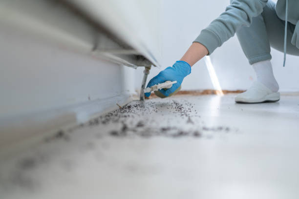 Best Exterminator Services  in Passaic, NJ